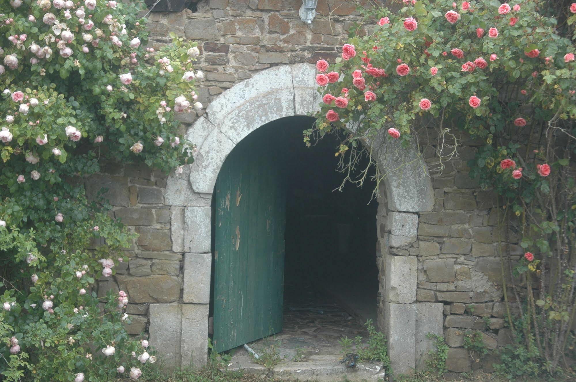 Saint-Patrice-de-Claids Le Chateau De Claids المظهر الخارجي الصورة